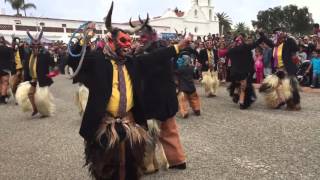 Danza De Los Diablos De Tecomaxtlahuaca Organization [upl. by Aneda350]