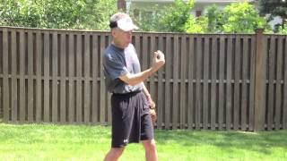 Softball Pitching Mechanics Forearm Fire [upl. by Sherer]