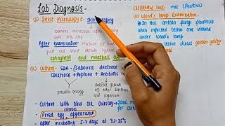 Superficial Mycosis dermatophyte mycology  types of superficial mycosis lab diagnosis [upl. by Ahsimak]