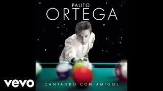 Palito Ortega  He Sabido Que Te Amaba Official Audio [upl. by Nahttam]