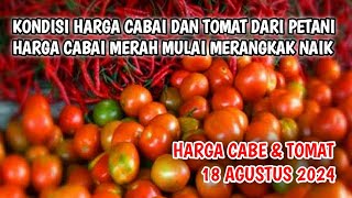 Harga cabai merah hari ini 18 Agustus 2024  Info harga tomat dan cabai saat ini di Jawa Timur [upl. by Joly]