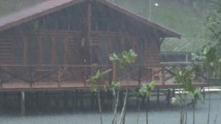 Raining heavily in the Amazon rainforest [upl. by Itch]