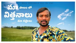 RAJU BEDIGALA మా పొలం లో విత్తనాలు మా కష్టాలు  seeds arvesting  RAJU BEDIGALA ALL IN ONE [upl. by Haile28]