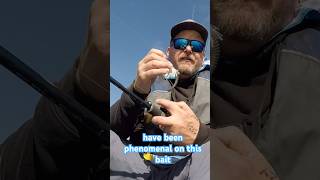 Eelgrass Technique for Spotted Bay Bass [upl. by Moynahan]