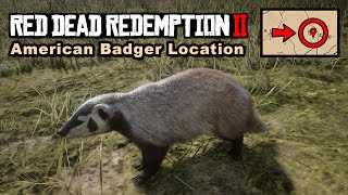 American Badger location  Red Dead Redemption 2 [upl. by Warrick]