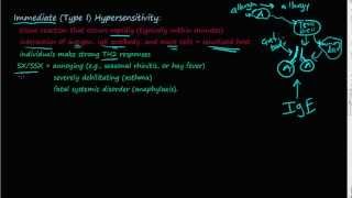 74P  Immediate Type I Hypersensitivity overview  basic description [upl. by Umeko]