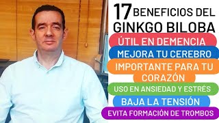 17 BENEFICIOS DEL GINKGO BILOBA USO EN DEMENCIA CORAZÓN Y DISFUNCIÓN ERÉCTIL [upl. by Cleodal223]