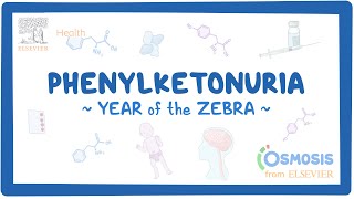 Phenylketonuria  NORD Year of the Zebra [upl. by Novyart]