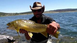 Fly Fishing Utah June 2018 report Panguitch Lake [upl. by Hunter]