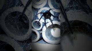 Giant Scary Spiders [upl. by Tsyhtema652]