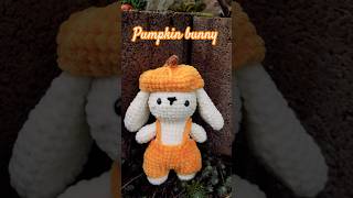 Pumpkin Season 🎃🍂 crochet [upl. by Nnylram353]