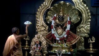 Narasimha Aarti June 08 2019 [upl. by Henri]