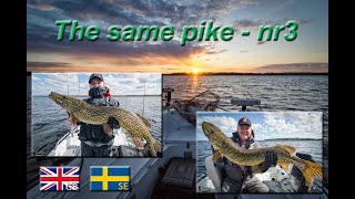 Same pike nr 3 [upl. by Leber611]