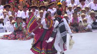 Jarabe Mixteco Guelaguetza [upl. by Parhe]