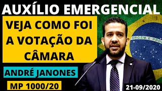 MP 1000 IAUXÃLIO EMERGENCIAL I VEJA COMO FOI A SESSÃƒO NA CÃ‚MARA DOS DEPUTADOS I ANDRÃ‰ JANONES DISSE [upl. by Mosa759]