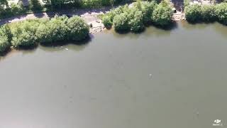 Ladywood lakes carp from above drone footage [upl. by Ewart]