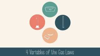 Gas Laws [upl. by Akemal529]