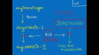 Why do ACE Inhibitors cause COUGH as an adverse effectACE InhibitorInduced Cough [upl. by Zosi]