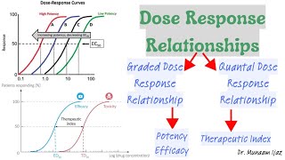 Dose Response Relationship  Potency  Efficacy  Therapeutic Index  Pharmacodynamics Pharmacology [upl. by Aener339]