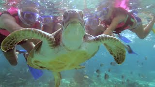 Tour Snorkel  Xcaret México Cancún Eco Park [upl. by Keary]