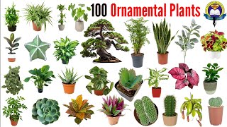 Ornamental Plants Name  100 Ornamental Plants Name With Pictures  Easy English Learning Process [upl. by Aylad]