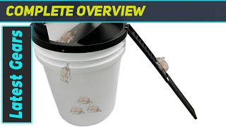 Bucket Lid Mouse Trap Ultimate Test amp MustSee Results [upl. by Mendez]