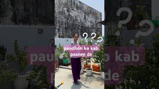 garmee mein paudhon ko kab paanee dena chaahie plants summer delhi shorts short yt [upl. by Gothurd]