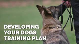 Developing Your Dogs Training Plan [upl. by Elana]