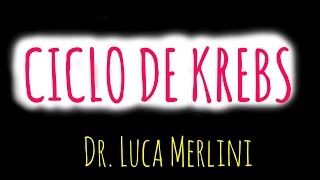 Ciclo de Krebs en un minuto [upl. by Dimah775]