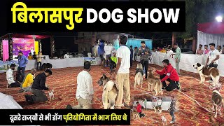 dog show bilaspur  bilaspur dog show  dog show in chhattisgarh  bilaspur mein dog kahan milta hai [upl. by Neirrad]