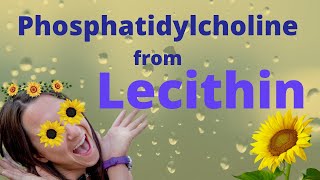 Phosphatidylcholine from Lecithin Brain SUPER Food [upl. by Eisler483]