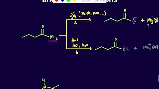 Hydrolysis of Amide under acidic and Basic Conditions [upl. by Farlie]