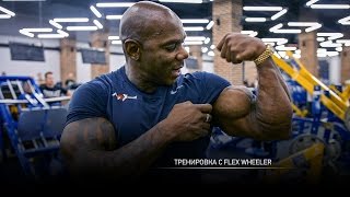 Тренировка с Flex Wheeler [upl. by Idet624]