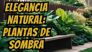 ¡Plantas de Sombra Elegancia y Misterio para Tu Jardín de Ensueño [upl. by Ellebasi]