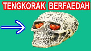 6 TENGKORAK UNIK BERMANFAAT UNTUK SEHARI HARI [upl. by Dripps838]