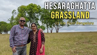 Road trip to Hesaraghatta Grasslands  35 Km from Bengaluru  Karnataka tourism  Namma Petting Zoo [upl. by Eitsud]