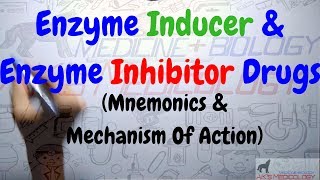 Enzyme Inhibitor amp Enzyme Inducer Drugs Mnemonics amp Mechanism  Dr Akshay Kewlani [upl. by Candra]