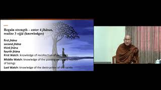 The Bodhisatta Ideal in Theravada Buddhism by Bhante Dhammapala 3rd Dec2023 at BDMS [upl. by Wendye444]