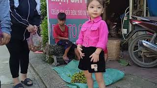 To make a living the children went to pick figs to sell and caught the figs as food for meals [upl. by Farrah]