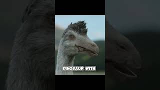 Top 5 Smartest Dinosaurs You Wont Believe Existed [upl. by Aniweta]