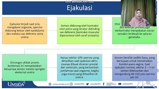 VIDEO SERI 3  GENETALIA PRIA VESIKULA SEMINALIS amp EJAKULASI [upl. by Reseta693]