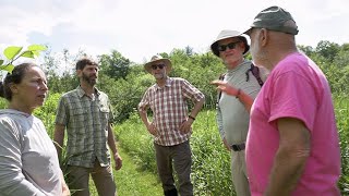 Ecological Planning Laboratory Knotweed in the Mad River Valley [upl. by Ronnholm432]