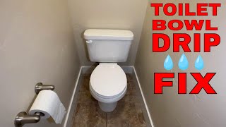 How to fix a dripping toilet  water leaking inside bowl [upl. by Nnylrats842]