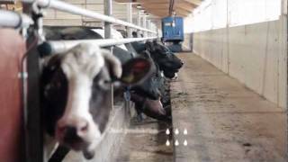 DeLaval Optimat™ Master på Torp [upl. by Gove]