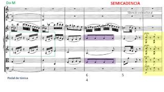 Mozart Andante para flauta y orquesta Kv 315 Musical Analysis [upl. by Ynffit]