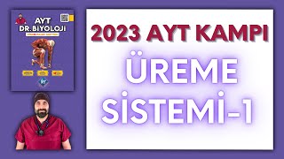 Üreme Sistemi1 AYT Biyoloji Kampı Konu Anlatımı 11Sınıf 2024 Tayfa [upl. by Meelak]