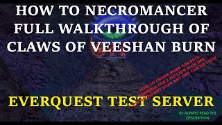 How to EverQuest Necromancer  Full CoV Burn Breakdown [upl. by Lenka]