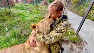 Львенка Рыжика спасали и лечили ДВА ГОДА и вот теперь Олег Зубков создал ему СЕМЬЮПРАЙД [upl. by Icaj]