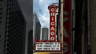 Chicago Marathon 2024 Incredible noise past the Theatre and Loop [upl. by Gish]