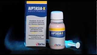 Eliminate Aiptasia with AiptasiaX [upl. by Ellerred607]